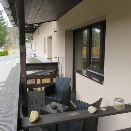 Pension Aura Spicak, Nektere Pokoje Se Saunou Železná Ruda Exterior foto