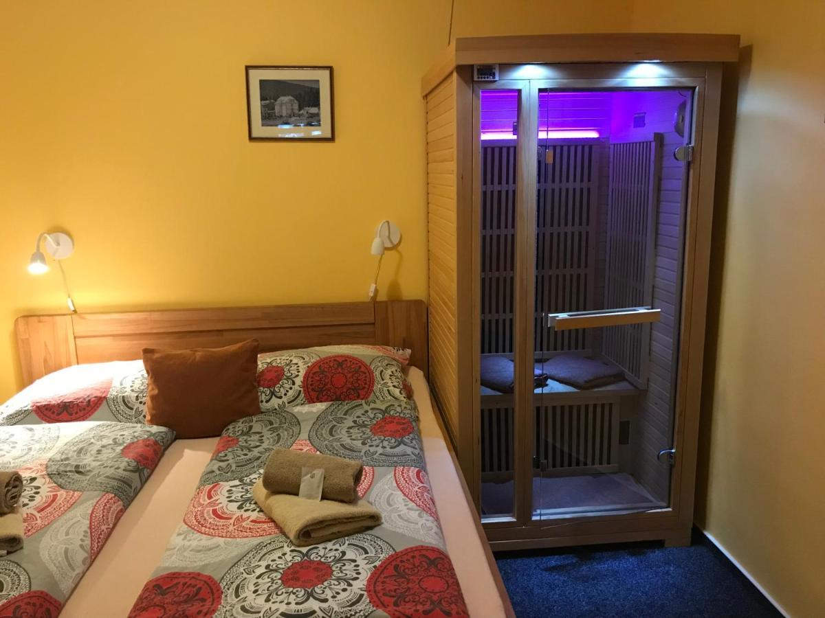 Pension Aura Spicak, Nektere Pokoje Se Saunou Železná Ruda Exterior foto