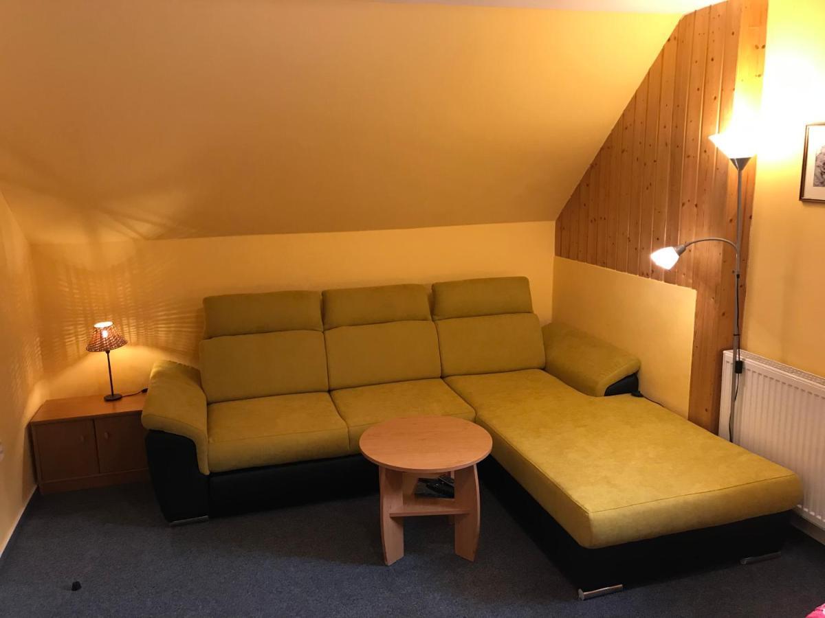 Pension Aura Spicak, Nektere Pokoje Se Saunou Železná Ruda Exterior foto
