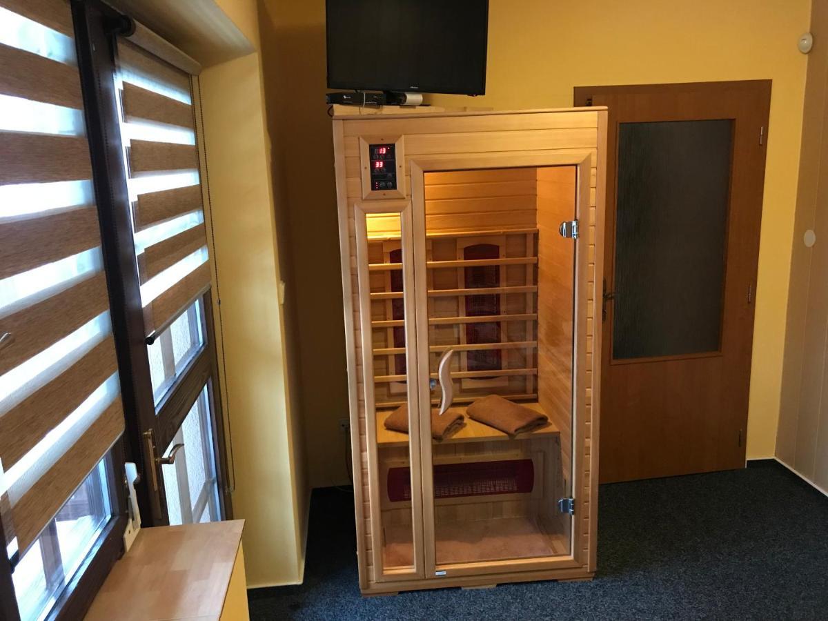 Pension Aura Spicak, Nektere Pokoje Se Saunou Železná Ruda Exterior foto