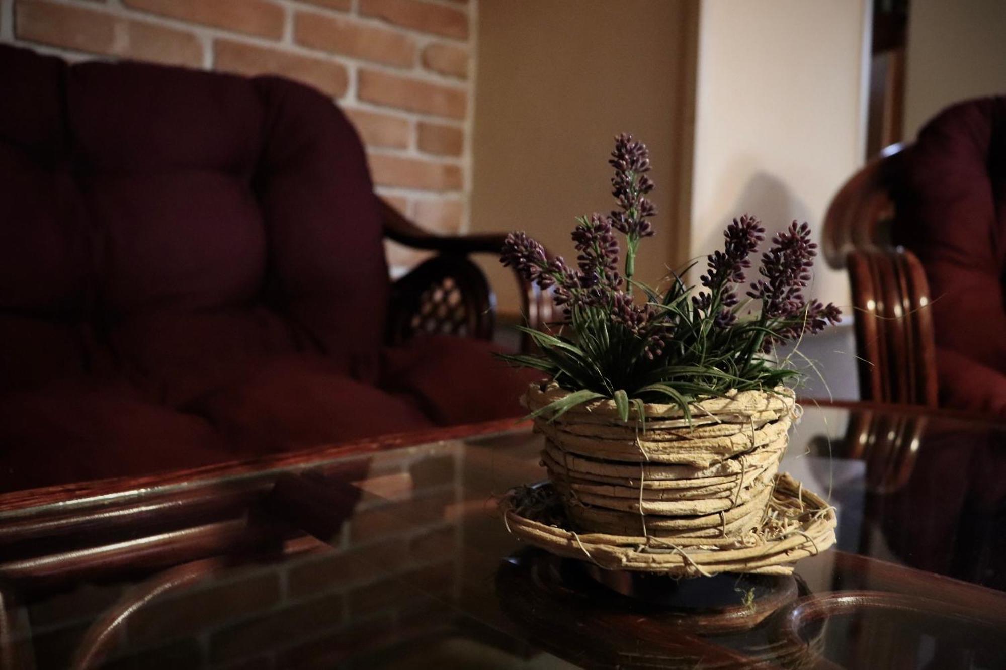 Pension Aura Spicak, Nektere Pokoje Se Saunou Železná Ruda Exterior foto
