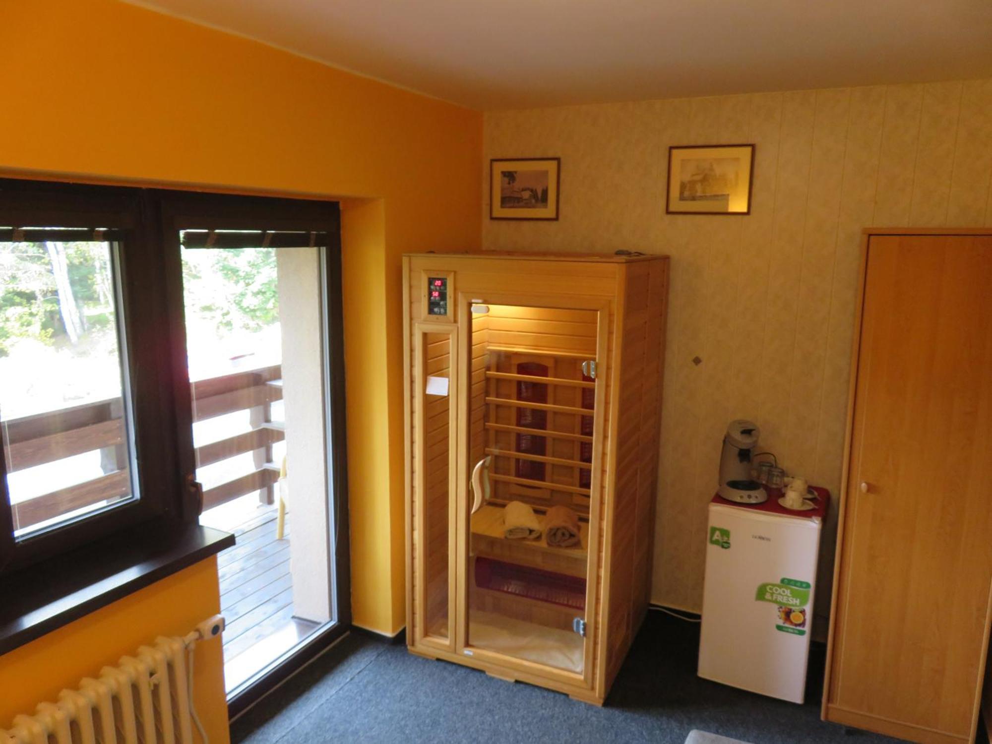 Pension Aura Spicak, Nektere Pokoje Se Saunou Železná Ruda Exterior foto