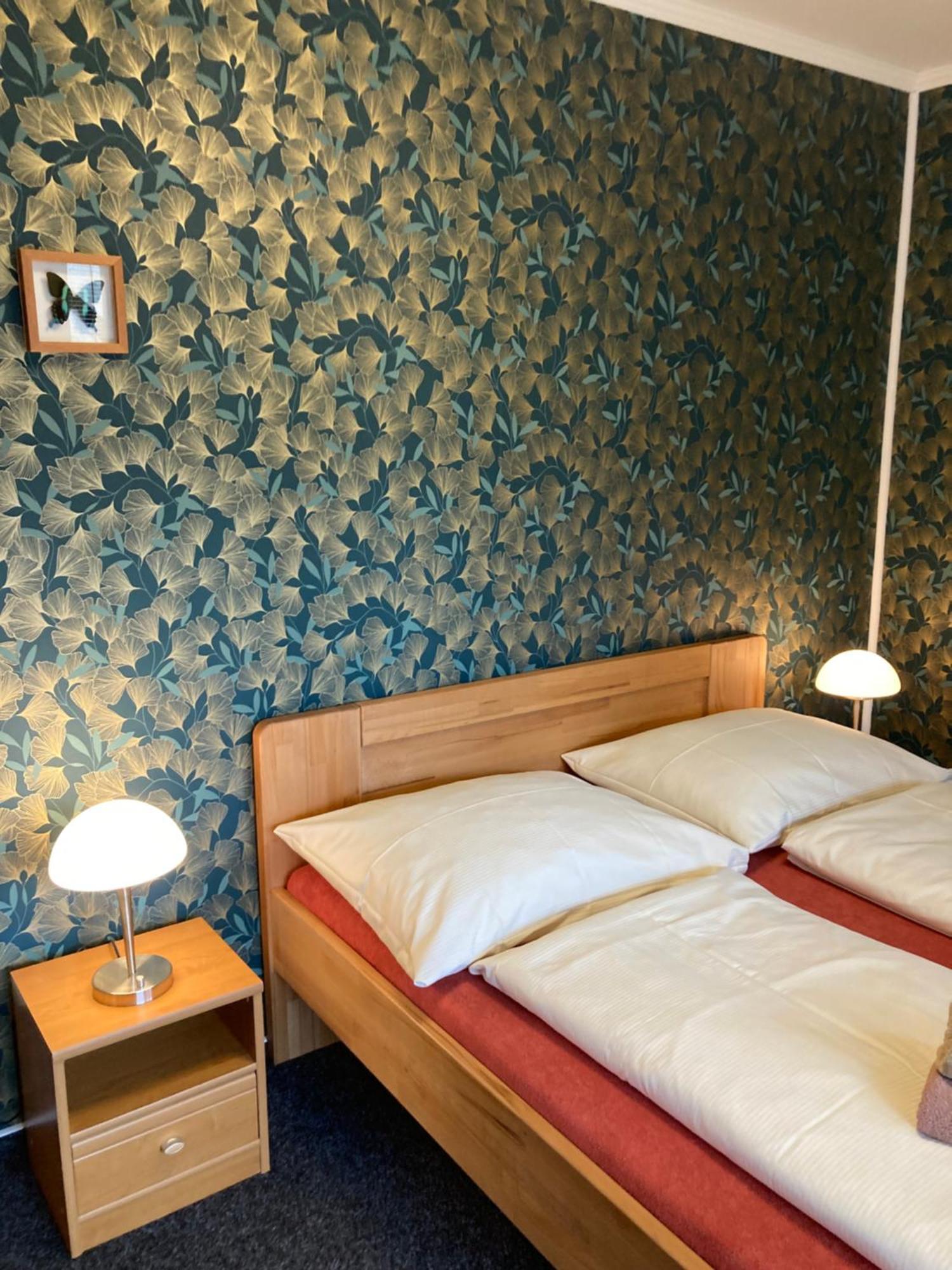 Pension Aura Spicak, Nektere Pokoje Se Saunou Železná Ruda Exterior foto